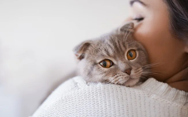 Entenda os motivos dos gatos sempre estarem no banheiro 9 obrigado